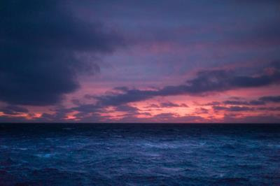 Cover image for research topic "Future Oceans Under Multiple Stressors: from Global Change to Anthropogenic Impact"
