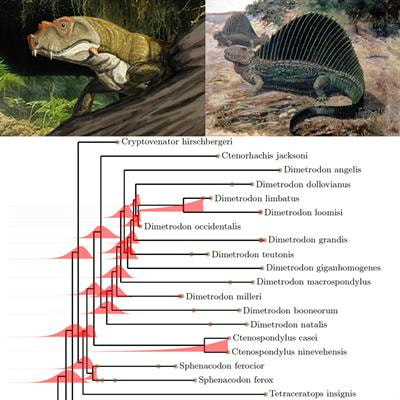 Cover image for research topic "Timetrees: Incorporating Fossils and Molecules"