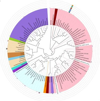 Cover image for research topic "Interactions Between Diets, Gut Microbiota and Host Metabolism"