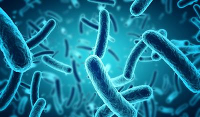 Cover image for research topic "Statistical and Computational Methods for Microbiome Multi-Omics Data"