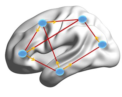 Cover image for research topic "Dynamic Functional Connectivity in Neuropsychiatric Disorders: Methods and Applications"
