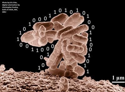 Cover image for research topic "Computational Methods for Microbiome Analysis"