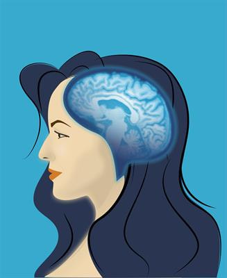 Cover image for research topic "Brain-image Based Computation for Supporting Clinical Decision in Neurological and Psychiatric Disorders"