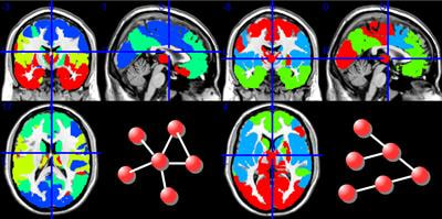 Cover image for research topic "Advancing Our Understanding of Structure and Function in the Brain: Developing Novel Approaches for Network Inference and Emergent Phenomena"