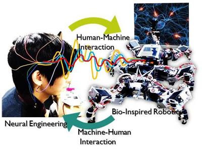 Cover image for research topic "Biology-Inspired Engineering and Engineering-Inspired Biology"