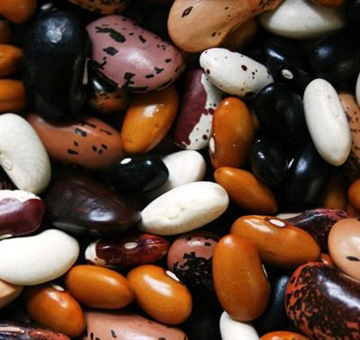 Cover image for research topic "Legumes for Global Food Security"