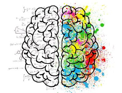 Cover image for research topic "Machine Learning Applications for Physics-Based Computational Models of Biological Systems"