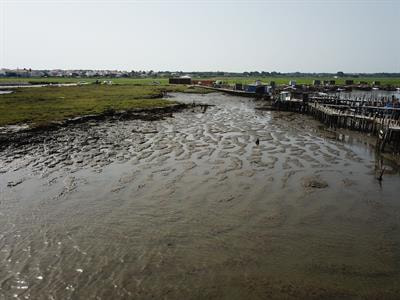 Cover image for research topic "Vulnerability of Fisheries to Climate Change"