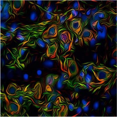 Cover image for research topic "Tropism, Mapping, Modeling, or Therapy Using Canine Adenovirus Type 2 (CAV-2) Vectors in the CNS"