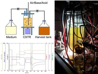 Cover image for research topic "Recent Advances in Continuous Cultivation"
