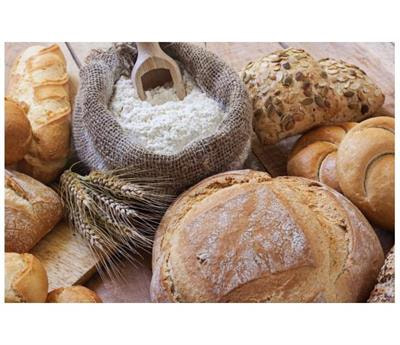 Cover image for research topic "Gluten, from Plant to Plate: Implications for People with Celiac Disease"