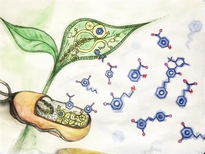 Cover image for research topic "Biotechnological Production and Conversion of Aromatic Compounds and Natural Products"