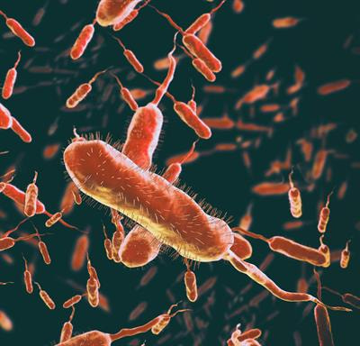 Cover image for research topic "Stress Response Mechanisms of Bacterial Pathogens"