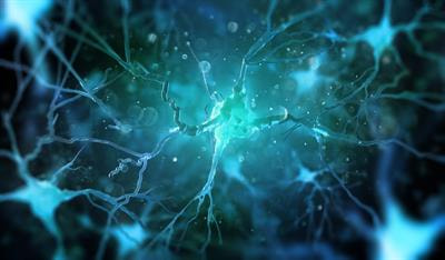 Cover image for research topic "The Evolution of Neuropeptides – a Stroll Through the Animal Kingdom: Updates from the Ottawa 2019 ICCPB Symposium and Beyond"