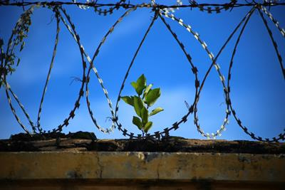 Cover image for research topic "Therapeutic Process and Well-Being in Forensic Psychiatry and Prison"