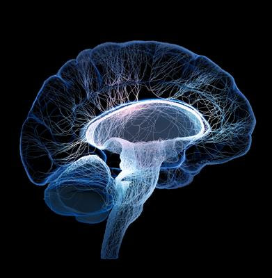 Cover image for research topic "Data-Driven Methods for Understanding Brain Behavior and Restoring its Pathophysiology"