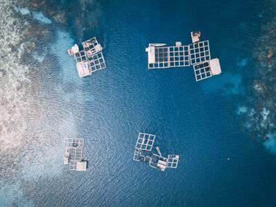 Cover image for research topic "Remote Sensing for Aquaculture"