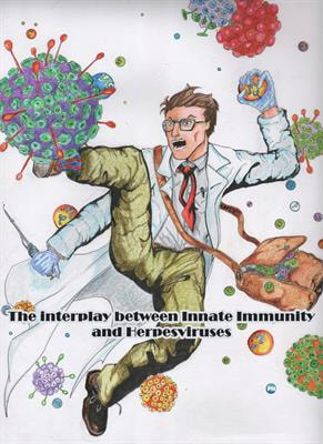 Cover image for research topic "The Interplay Between Innate Immunity And Herpesviruses"