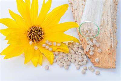 Cover image for research topic "Biodegradable Matrices and Composites "