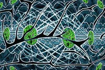 Cover image for research topic "Novel Molecular Targets for the Treatment of Pain"