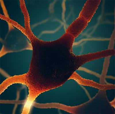 Cover image for research topic "Advances in Biomedical and Molecular Neuroscience"
