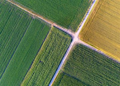 Cover image for research topic "Ecological Intensification and Diversification as Mechanisms for Sustainable Agriculture"
