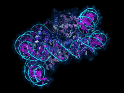 Cover image for research topic "Epigenetic Modification in Mesothelioma"