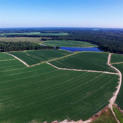 Cover image for research topic "Rural Land Change and the Capacity for Ecosystem Conservation and Sustainable Production in North America"
