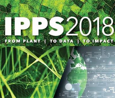 Cover image for research topic "Phenotyping; From Plant, to Data, to Impact and Highlights of the The International Plant Phenotyping Symposium - IPPS 2018"
