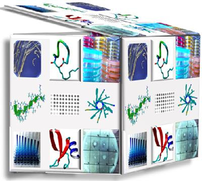 Cover image for research topic "Antimicrobial Peptides – Molecules With Multiple Biological Functions"