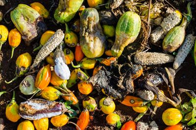Cover image for research topic "Gaseous Emissions and Mitigation Options during Waste Management in Agroecosystems"