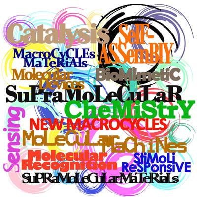 Cover image for research topic "New Macrocycles and their Supramolecular Perspectives"