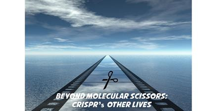 Cover image for research topic "Beyond Molecular Scissors: Non-Canonical Functions Of CRISPR-Cas Systems"