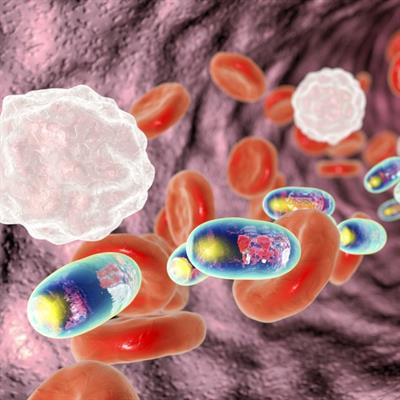 Cover image for research topic "Stem Cells as Targeted Drug Delivery Vehicles"