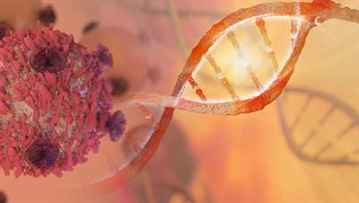Cover image for research topic "Cell Signaling Mediating Critical Radiation Responses"