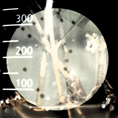 Cover image for research topic "Role of Endophytes in Plant Health and Defense Against Pathogens"