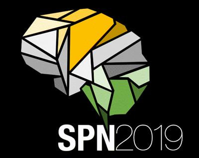 Cover image for research topic "Meeting of the Portuguese Society for Neurosciences SPN2019"