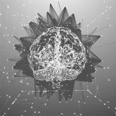 Cover image for research topic "Advanced Deep Learning Methods for Biomedical Information Analysis (ADLMBIA)"