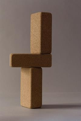 Cover image for research topic "Sociomateriality in Children with Typical and/or Atypical Development"