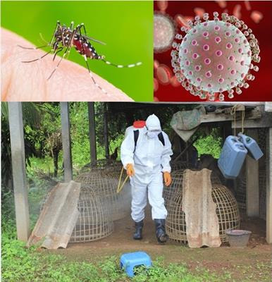 Cover image for research topic "Emerging and Re-emerging Vector-borne and Zoonotic Diseases"