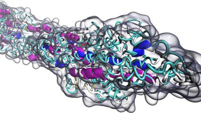 Cover image for research topic "Advances on Polymer Biotechnology"