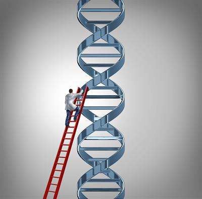 Cover image for research topic "Exploiting DNA Damage Response in the Era of Precision Oncology"