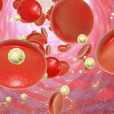 Cover image for research topic "Polymeric Nano-Biomaterials for Medical Applications: Advancements in Developing and Implementation Considering Safety-By-Design Concepts"