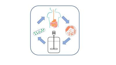 Cover image for research topic "Novel Strategies for Efficient Production and Delivery of Live Biotherapeutics"