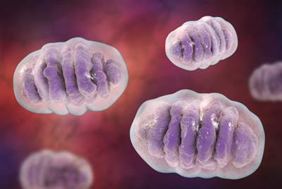 Cover image for research topic "Developing Combined Modality Therapy with Mitochondria-Targeting Strategy"
