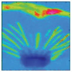 Cover image for research topic "Proceedings of IPSC 2019 - 2nd International Plant Spectroscopy Conference"