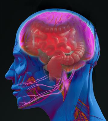 Cover image for research topic "Neurogastroenterology – Focus on the Gut-Brain Axis"