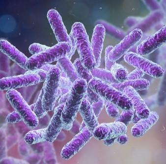 Cover image for research topic "The Molecular Mechanisms of Antibiotic Resistance in Aquatic Pathogens"