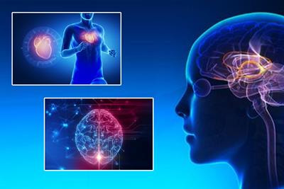 Cover image for research topic "Psychological and Motor Associations in Sports Performance: A Mental Approach to Sports"