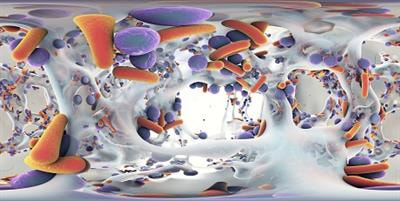 Cover image for research topic "The Chemistry of Biofilms and Their Inhibitors "